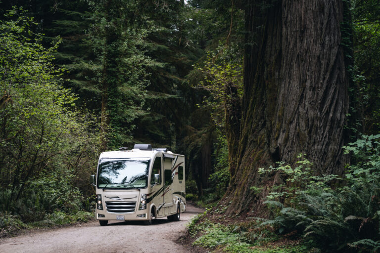 an RV driving through the forest