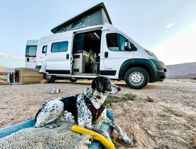 a dog in front of an RV