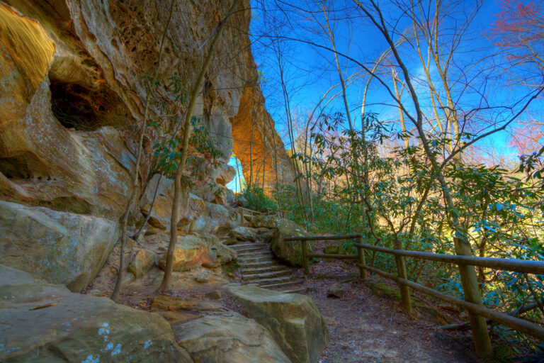 a hike at a Kentucky State Park