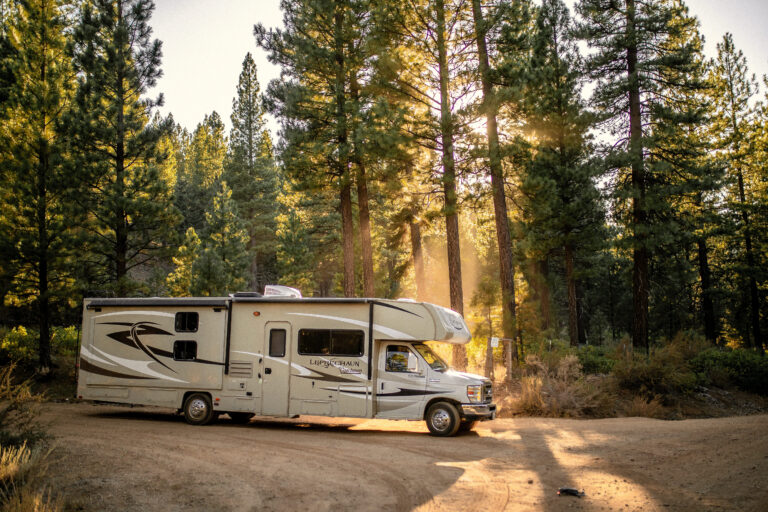 RV near a forest of trees