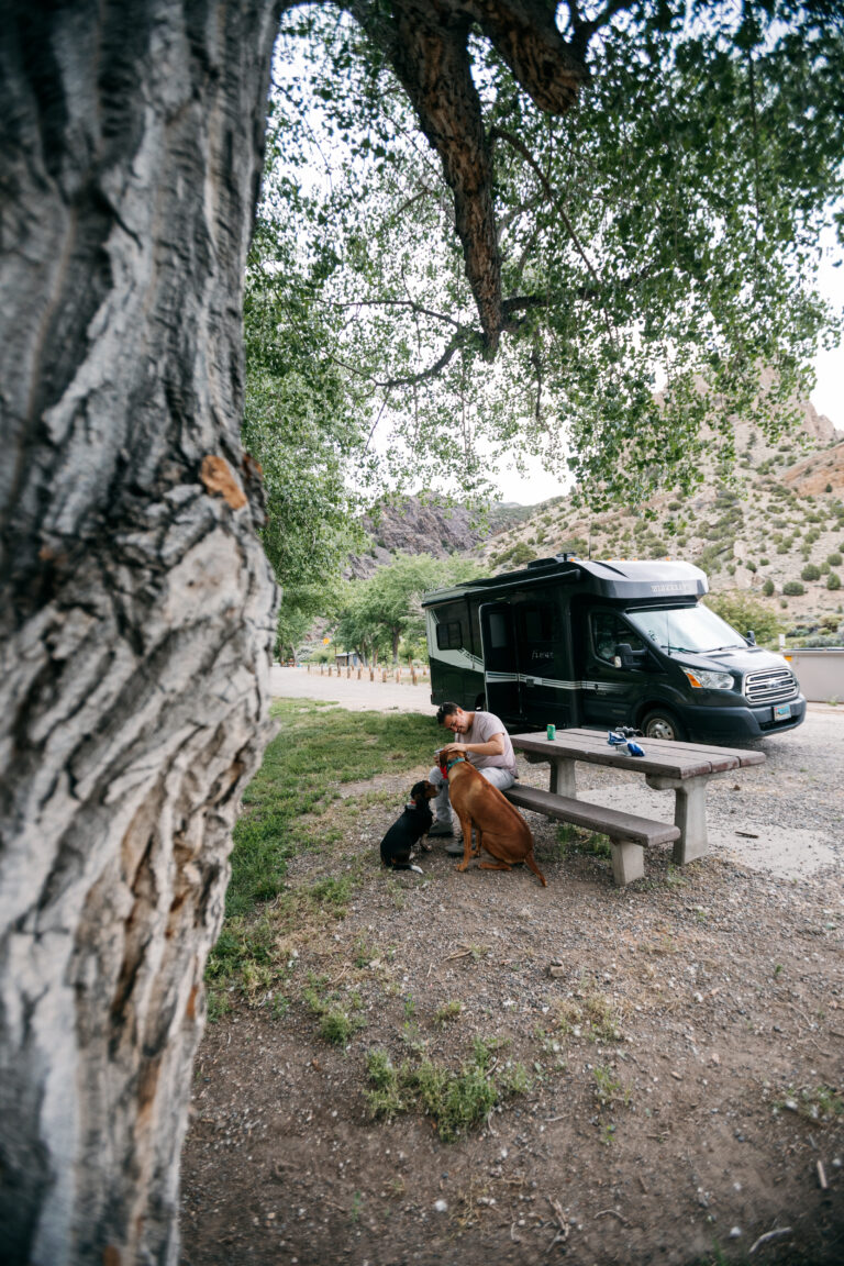 a man and dogs by a Class C camper