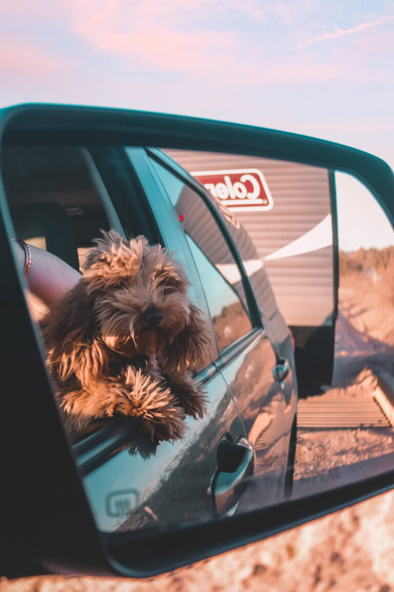 Car Mirrors: Your Ultimate Guide