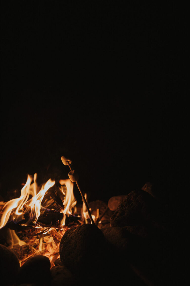 marshmallows at a campfire