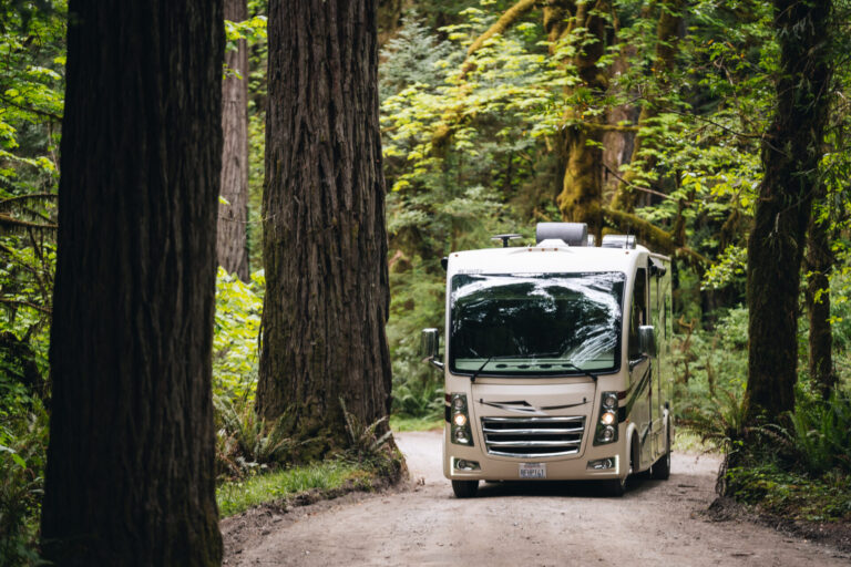 a Class A camper on a forest road