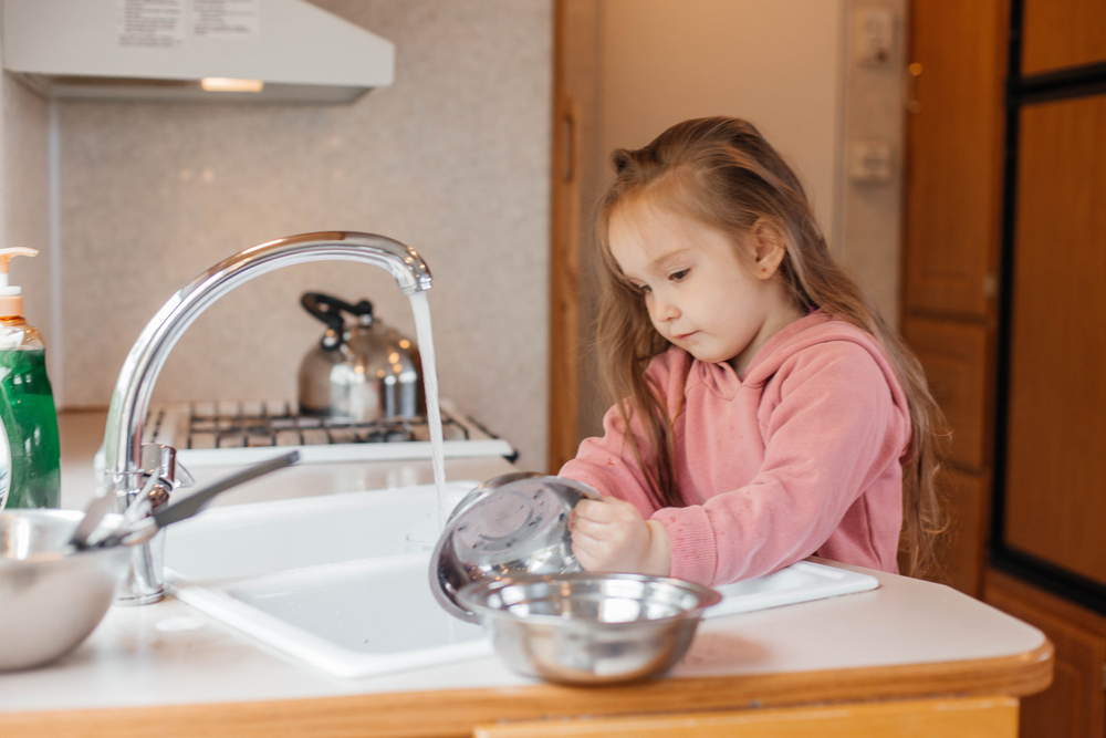 Don’t Buy a Shurflo RV Water Pump Until You Read This | RVshare