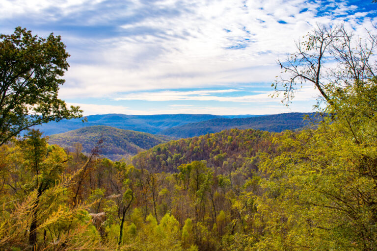 Looking over the Ozark National Forest