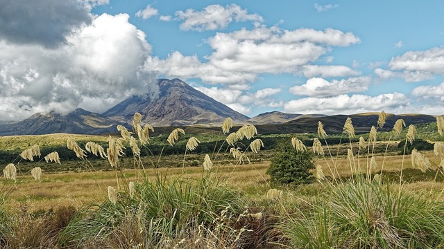 Tongariro National Park