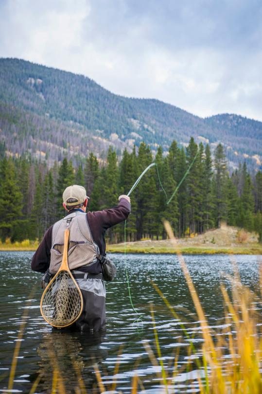How To Keep Wild Animals Out Of Your Campsite RVshare