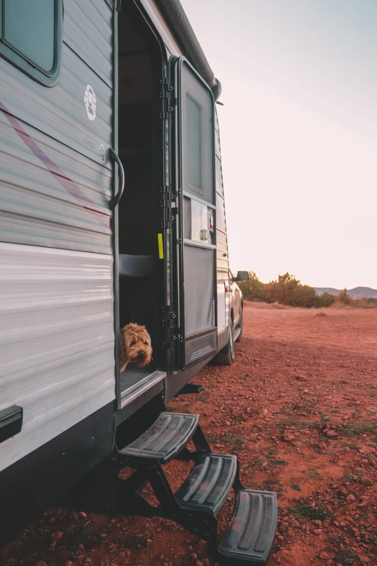 An RV parked to camp with a dog peeking out the door