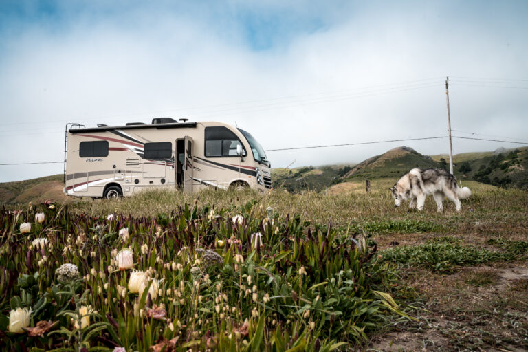 an RV parked in a grassy area with a dog nearby