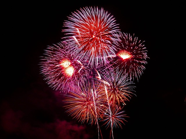 Fireworks exploding in the night sky