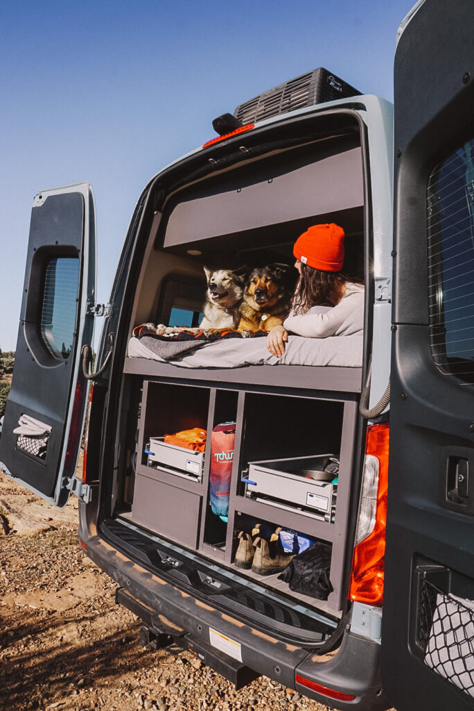 A woman and dogs in a Class B camper