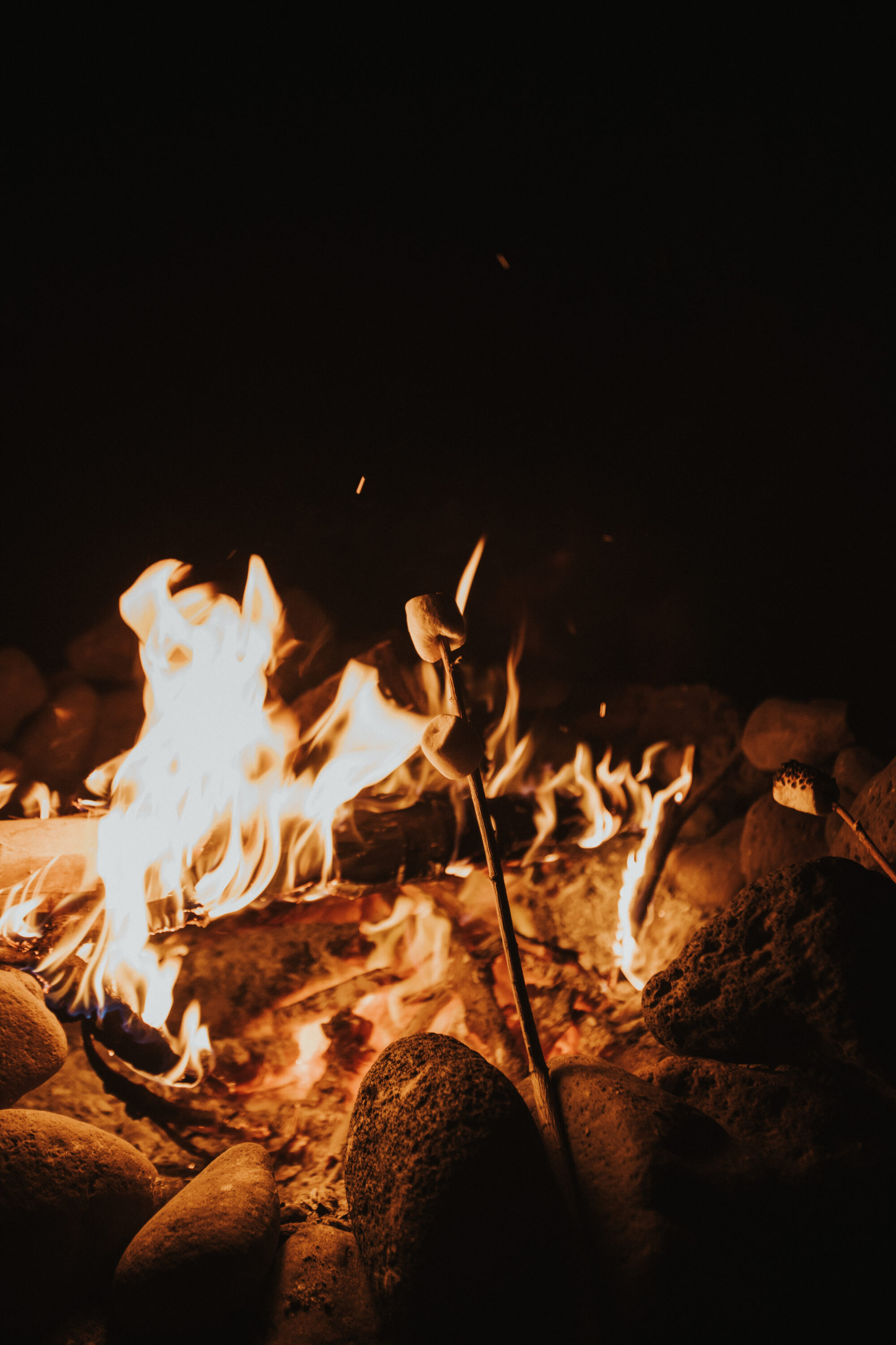 Our Favorite Delicious Campfire Foods | RVshare