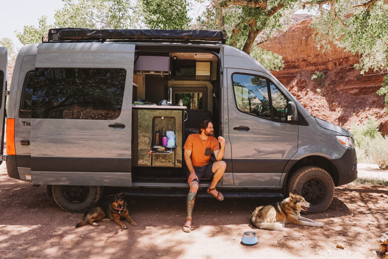 A man at his campervan with his dogs