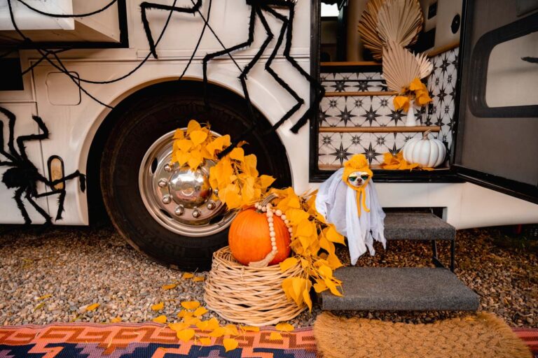 A dog dressed up for Halloween next to an RV