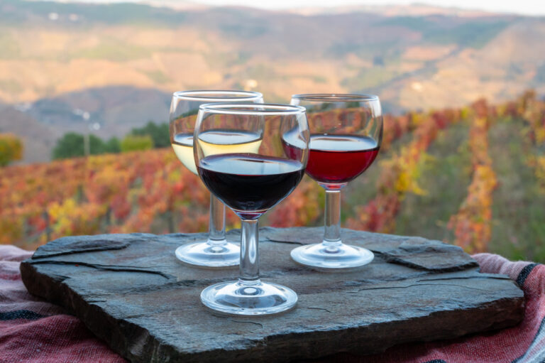 A winery with wineglasses in the foreground