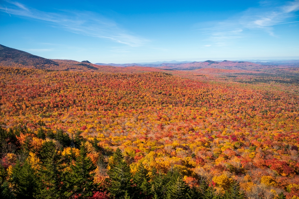 Fall foliage in the White Mountain National Forest in New Hampshire