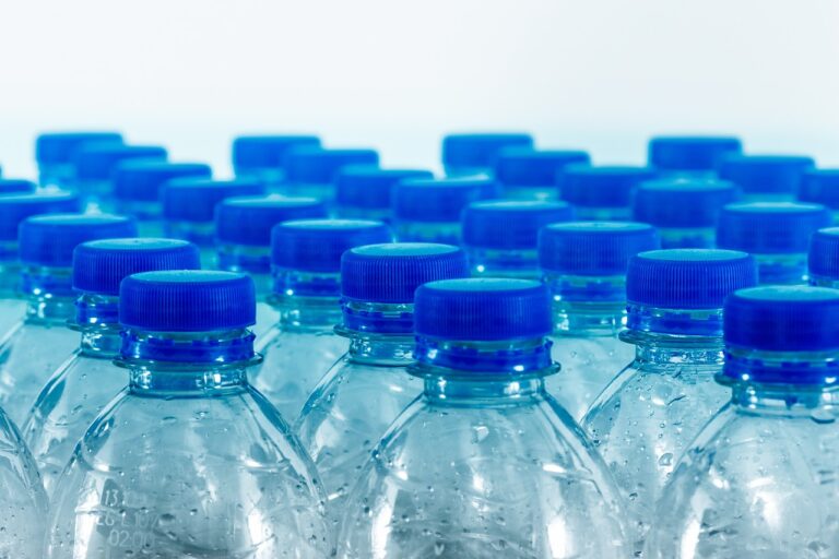 plastic water bottles all lined up