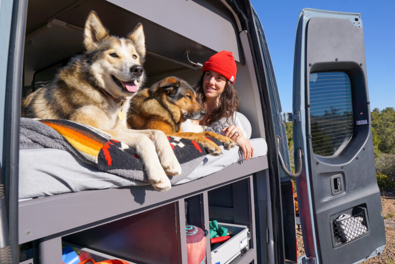 a woman and her dogs in the back of a campervan