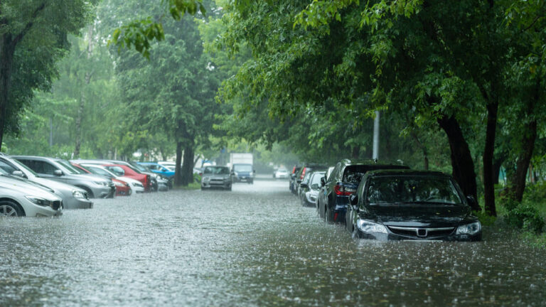 Flooded cars along a street