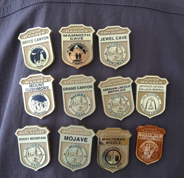 Junior Ranger badges