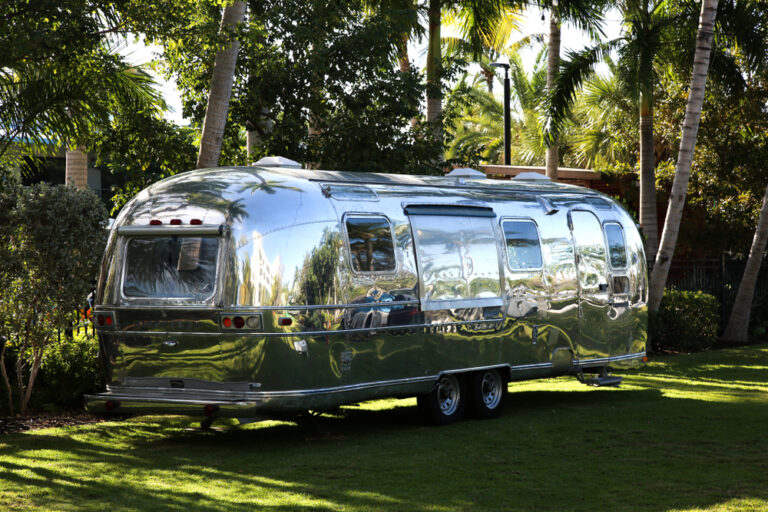 A very shiny Airstream in a palm tree lined spot