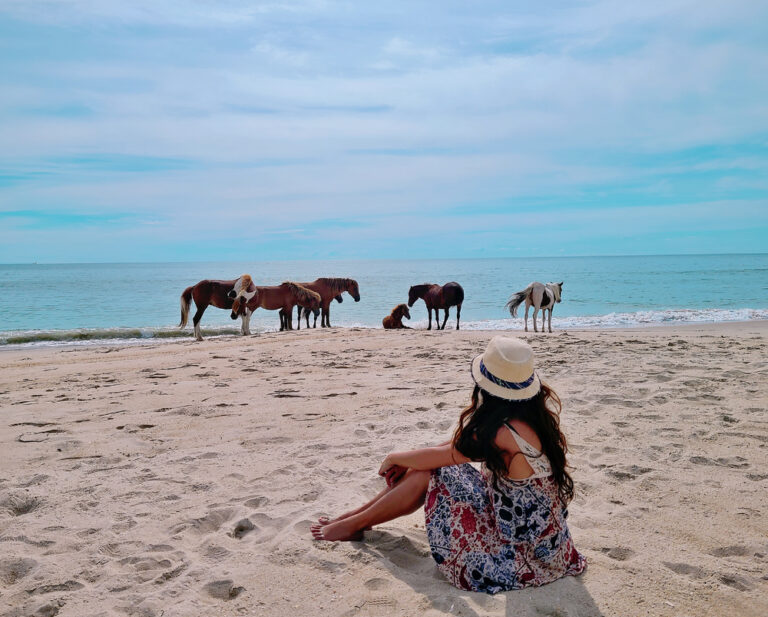 a woman watching horses on Chincoteague Island