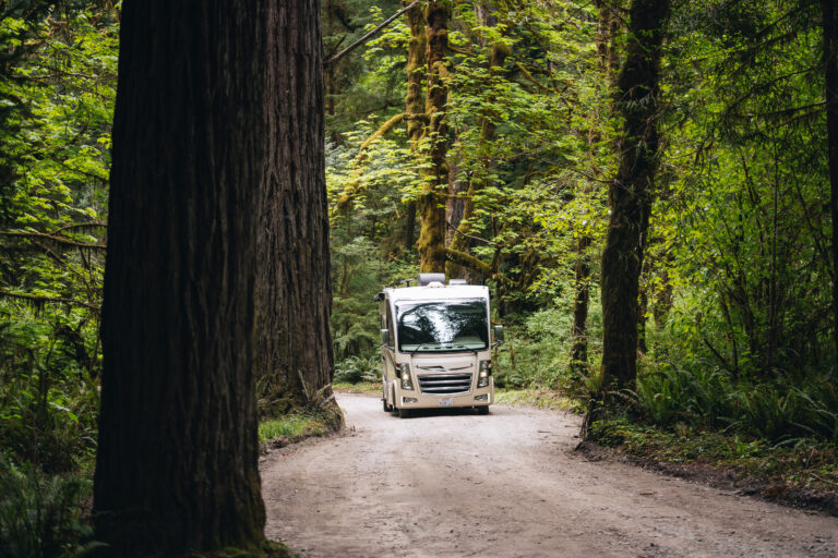 An RV on a forest road