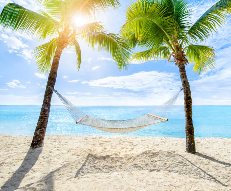 a hammock next to an ocean