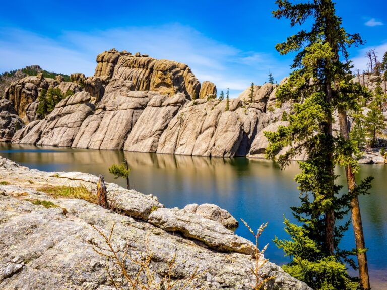 Custer State Park