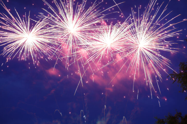 fireworks exploding in a dark sky