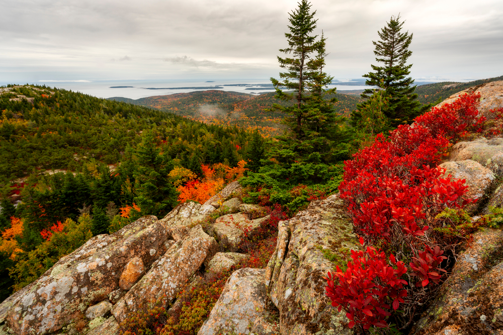 Acadia National Park in the fall