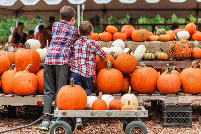 Two boys picking out a pumpkin