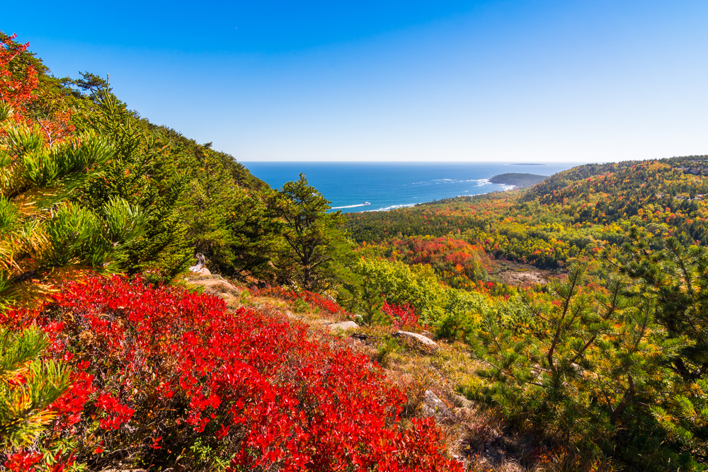 Acadia National Park in fall
