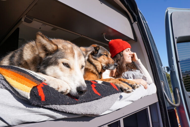 A woman and two dogs on a campervan bed