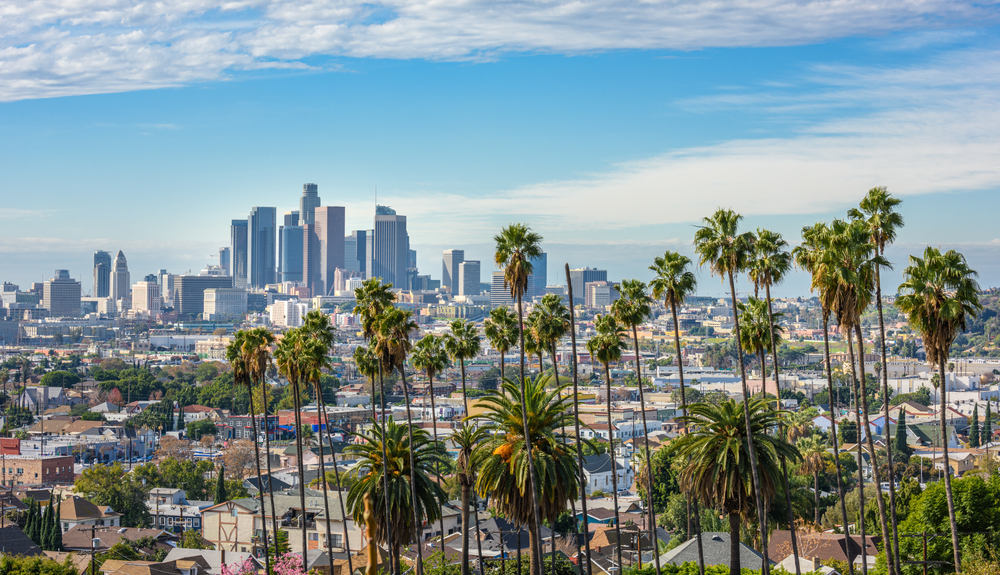 palm trees and the Los Angeles skyline