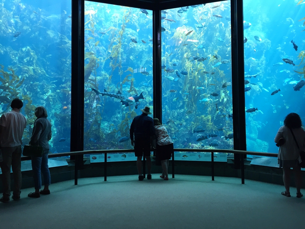 The Best Aquariums Across the Country RVshare