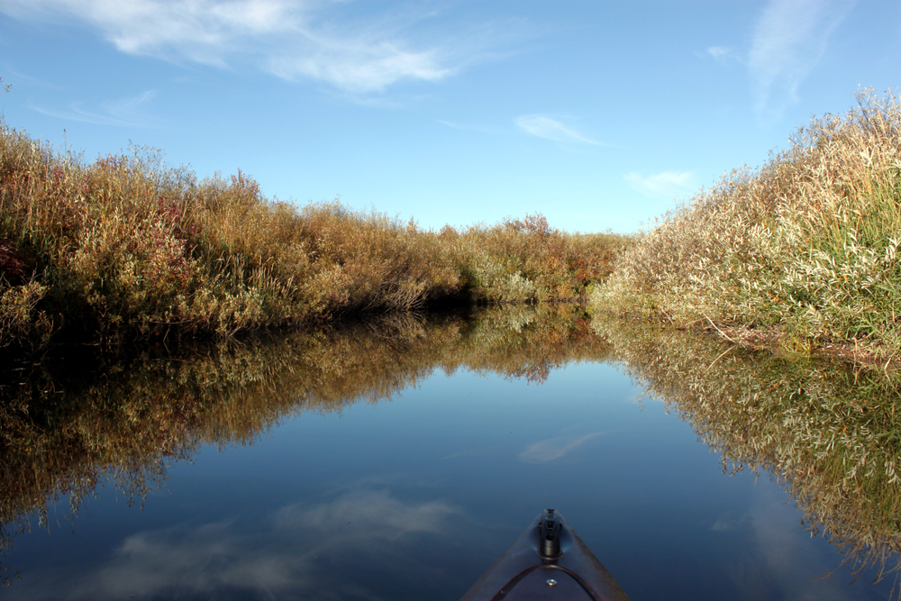Where to go canoeing near me