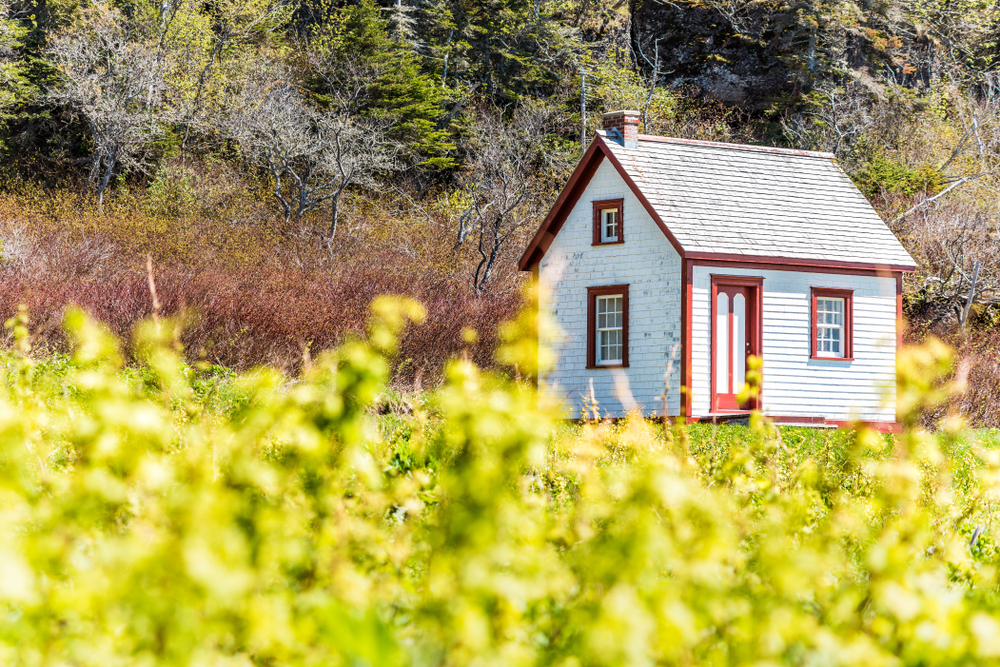 What It's Really Like to Live in a Tiny House Community