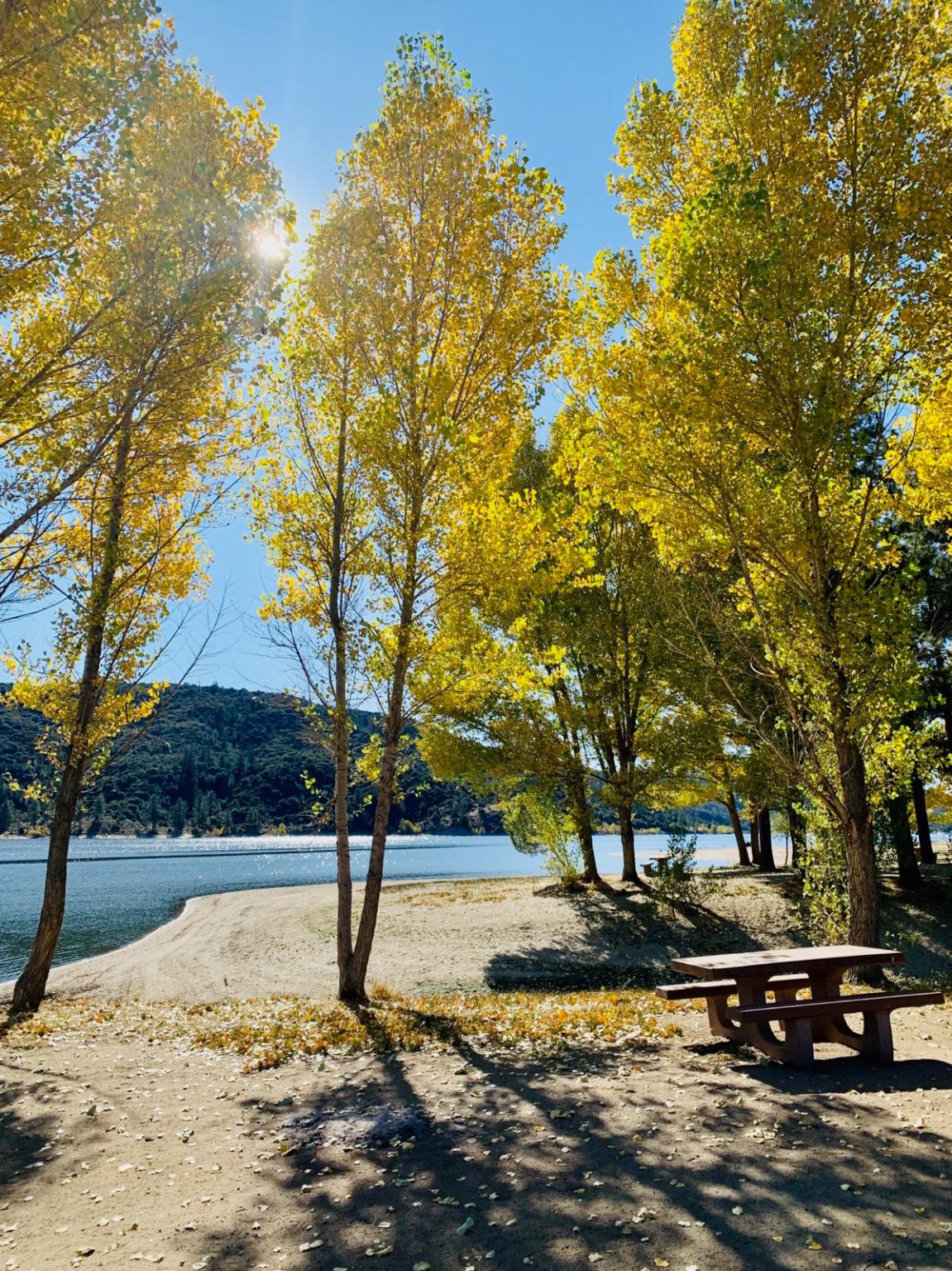 The Top 25 RV Parks & Campgrounds for Families!