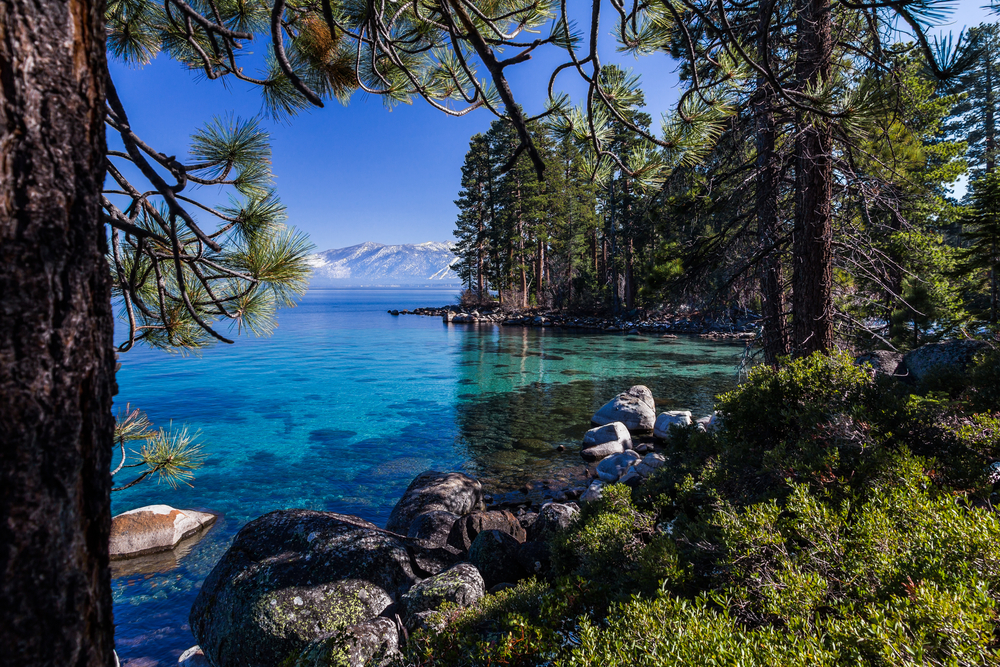 Lake Tahoe cove