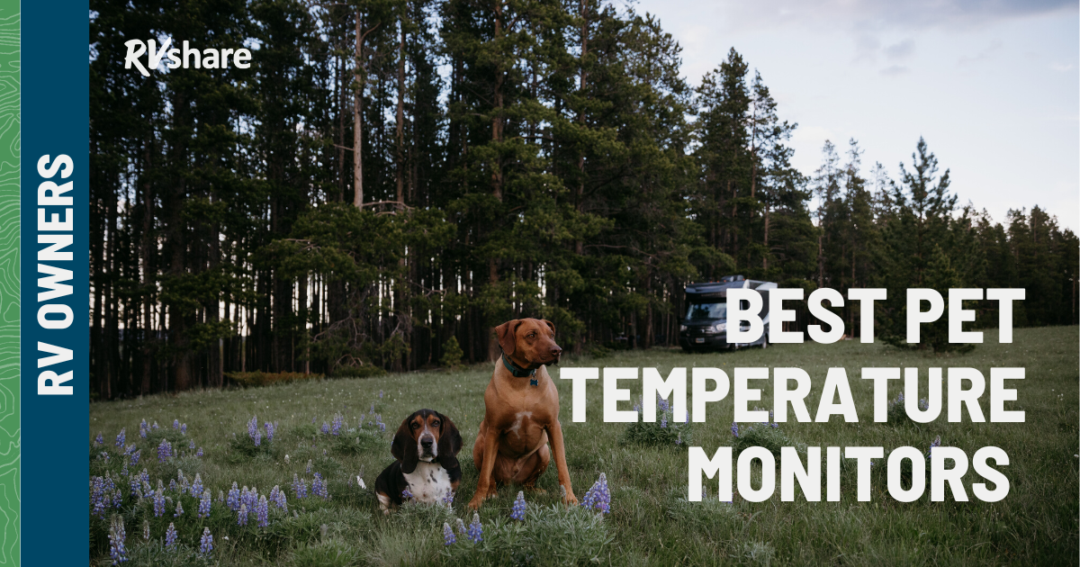 8 Best Pet Temperature Monitors for your RV
