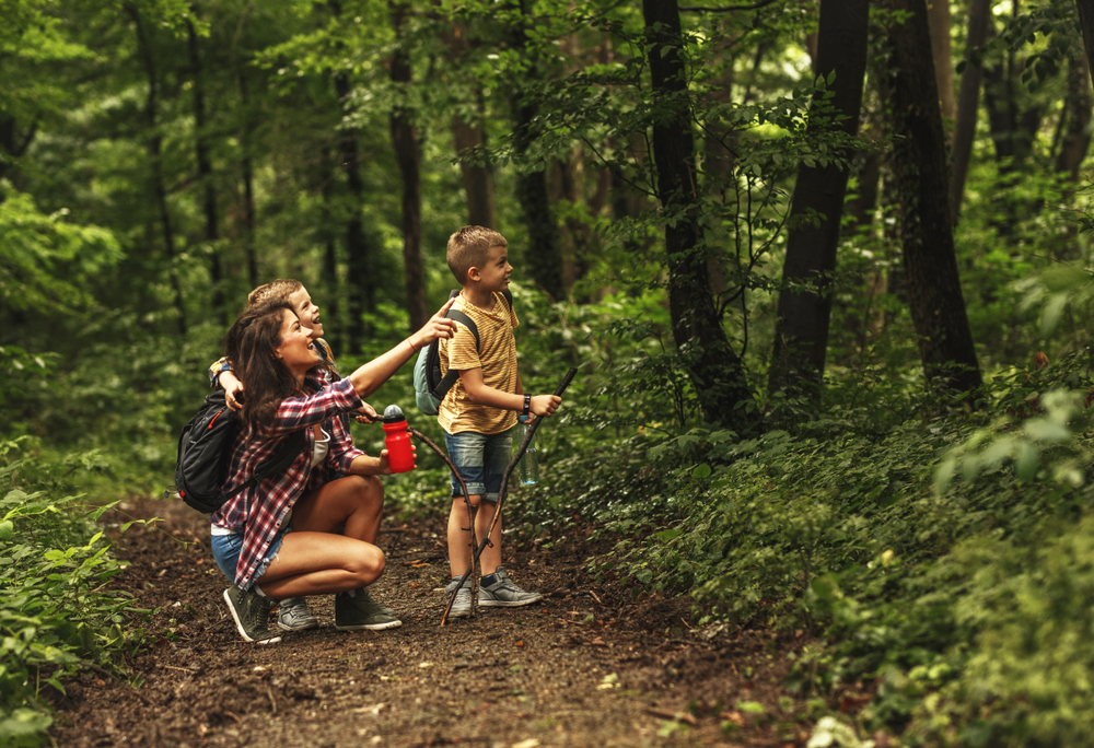 Mother and her little sons hiking trough forest. Watching birds.