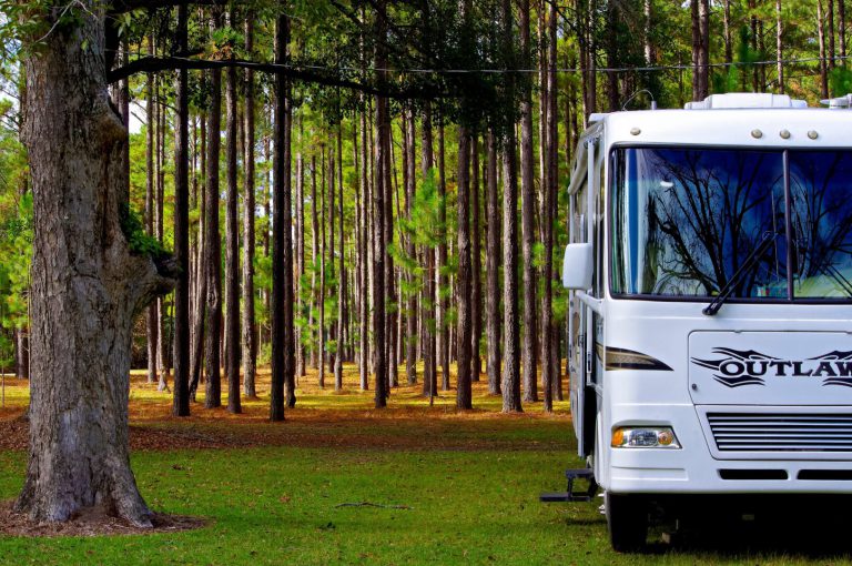 RV parked in woods