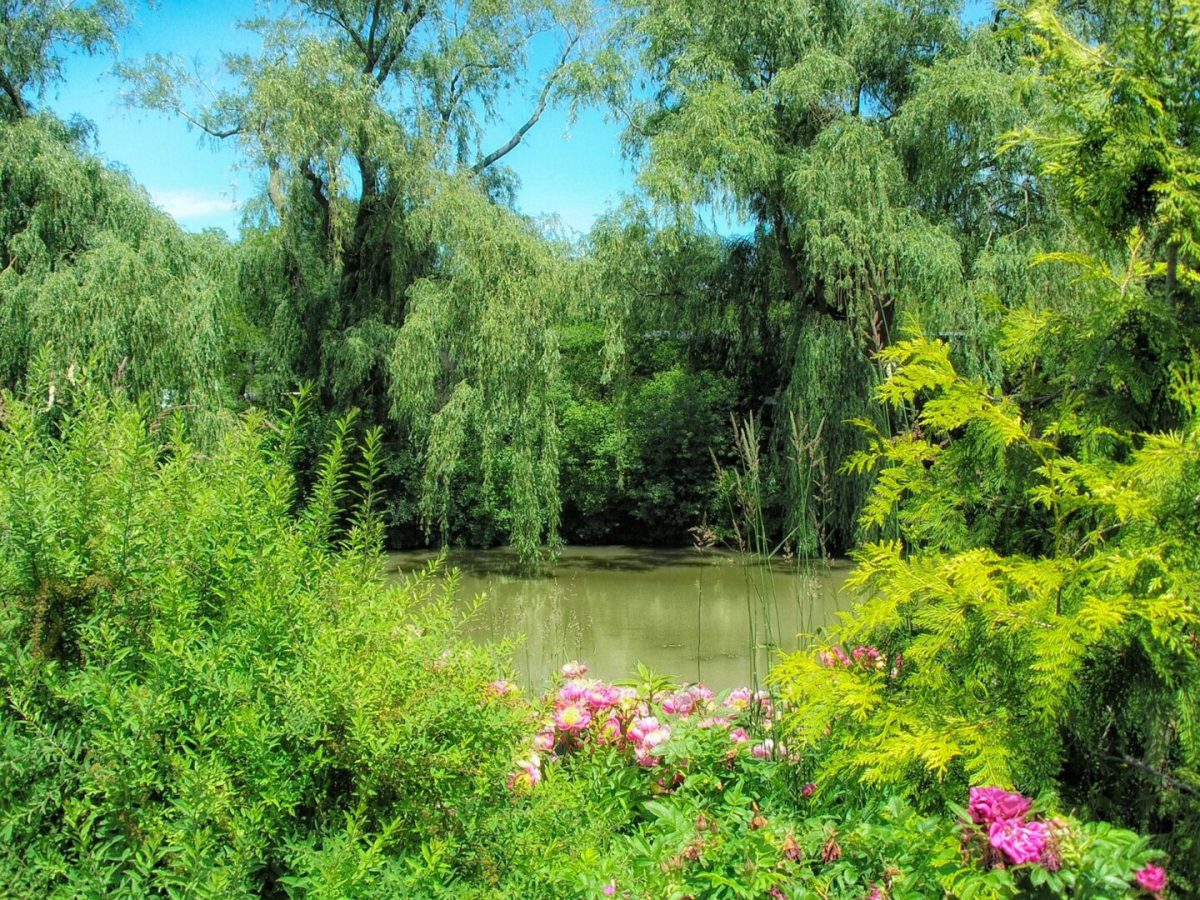 The 10 Best Botanical Gardens in the United States RVshare