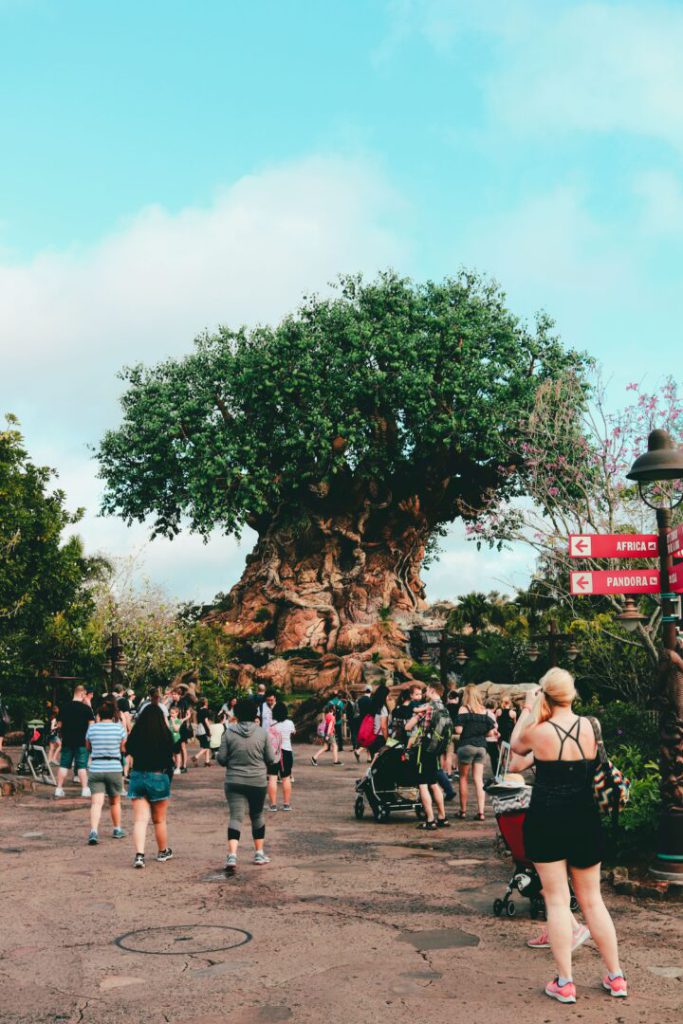 Our Giant Guide to All Things Disney World 2022! RVshare