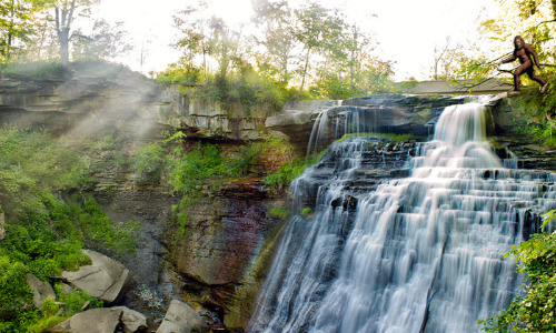 Bigfoot at Brandywine Falls in CVNP