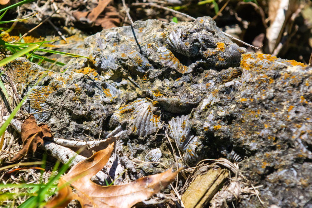 Top 10 Landmarks in Kentucky RVshare