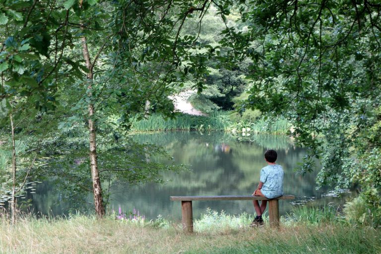 Boy on bench in nature