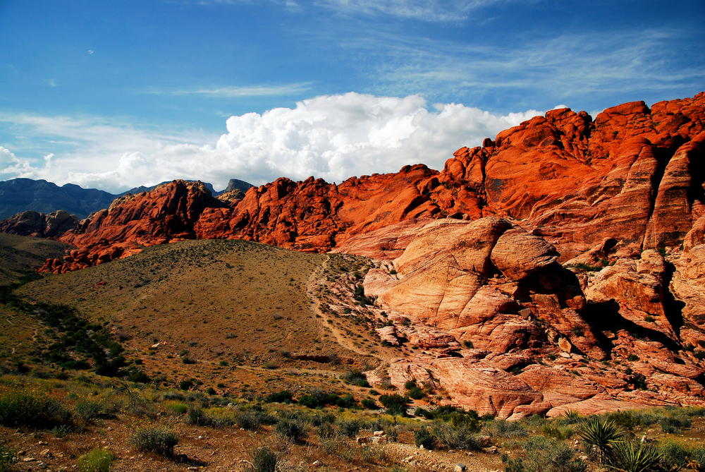 Views from Red Rock Canyon, Nevada / Red Rock